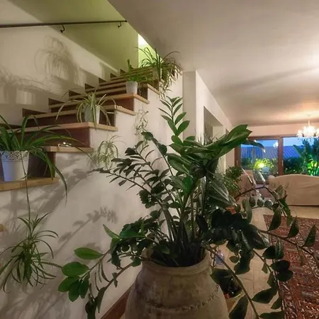Hébergement de vacances Casa Mathea